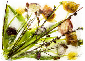 Fine Art Print "Bloemenstorm" 60x40 (gelimiteerde oplage)