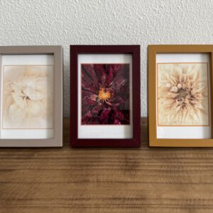 Flower-Crush print in lijst (set van 3)